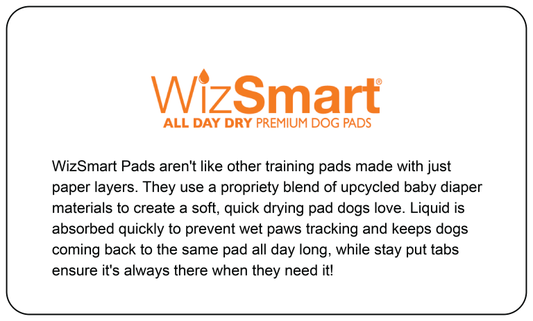 Brand Partners Section Image - WizSmart